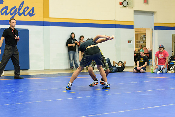 Wrestling DHS 011516-3-3391