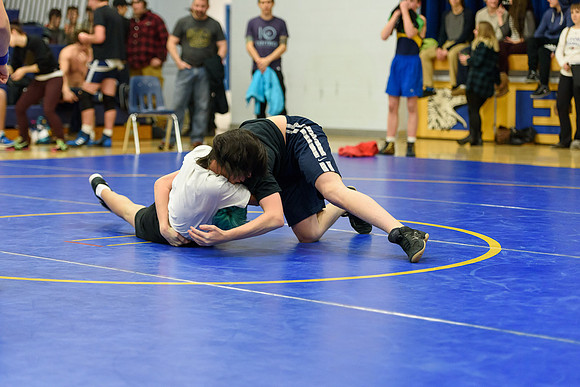 Wrestling DHS 011516-3-2863