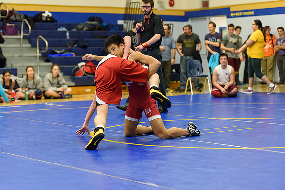 Wrestling DHS 011516-3-2611