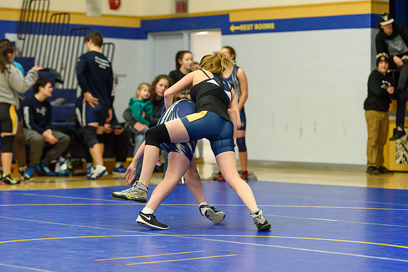 Wrestling DHS 011516-3-2177