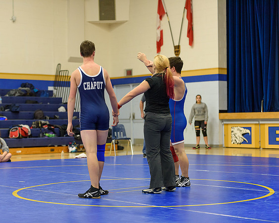 Wrestling DHS 011516-3-3082