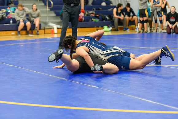 Wrestling DHS 011516-3-3445