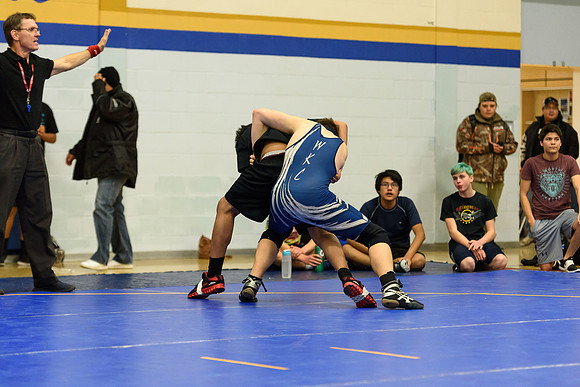 Wrestling DHS 011516-3-4738