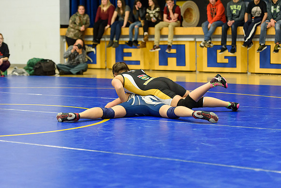 Wrestling DHS 011516-3-3379