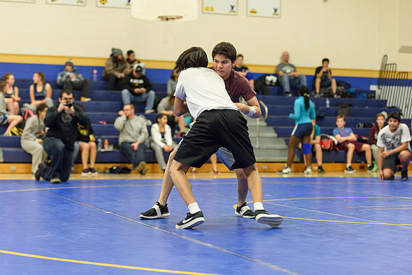 Wrestling DHS 011516-3-3687