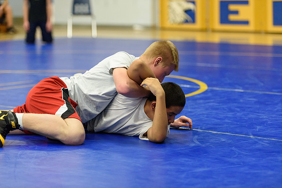 Wrestling DHS 011516-3-4534