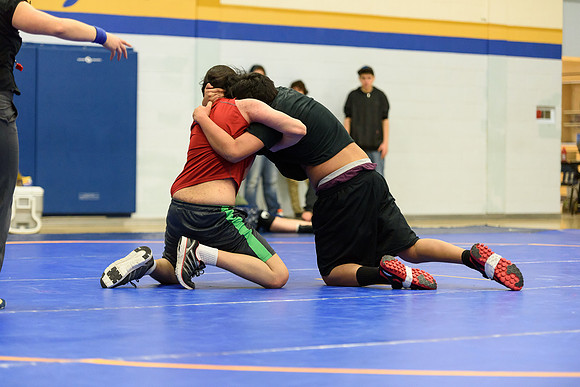 Wrestling DHS 011516-3-3765
