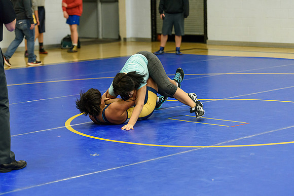 Wrestling DHS 011516-3-5110