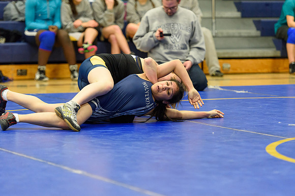 Wrestling DHS 011516-3-4051