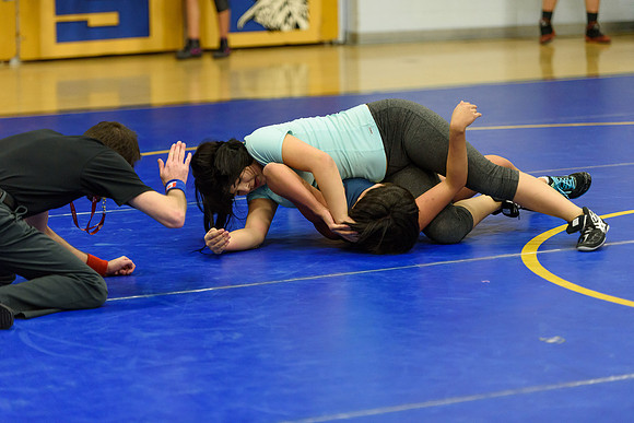 Wrestling DHS 011516-3-5120
