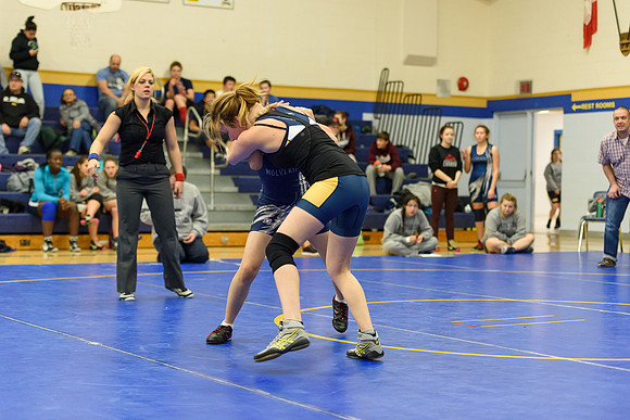 Wrestling DHS 011516-3-3979