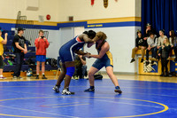 Wrestling DHS 011516-3-2498