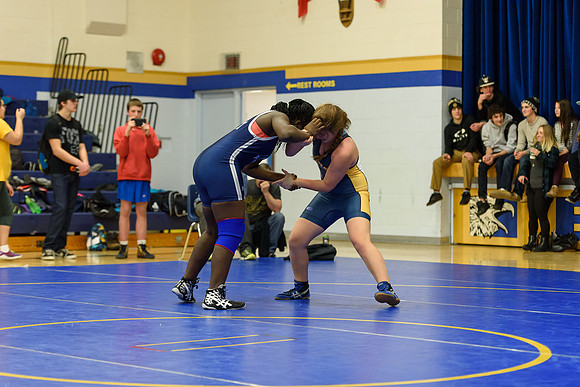 Wrestling DHS 011516-3-2498