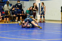Wrestling DHS 011516-3-2178