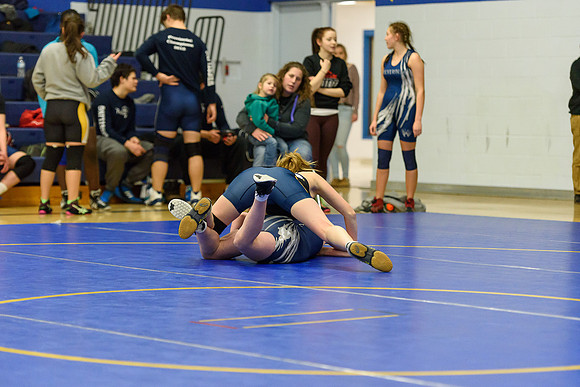 Wrestling DHS 011516-3-2178