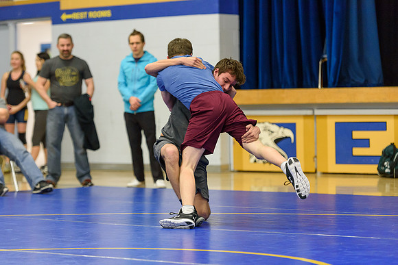 Wrestling DHS 011516-3-2950