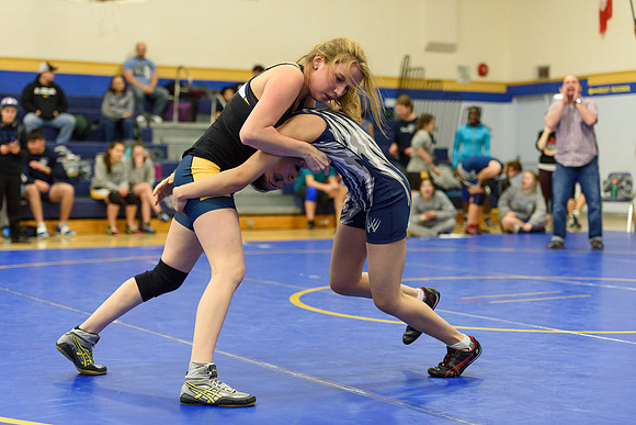 Wrestling DHS 011516-3-4091