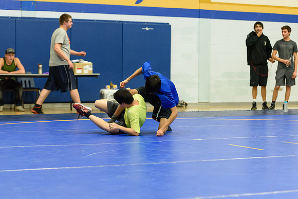 Wrestling DHS 011516-3-4065