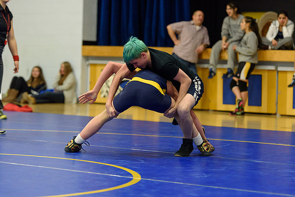 Wrestling DHS 011516-3-5292
