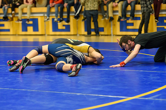 Wrestling DHS 011516-3-3385