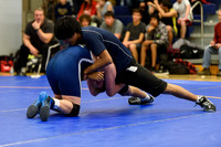 Wrestling DHS 011516-3-2466
