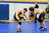 Wrestling DHS 011516-3-2123