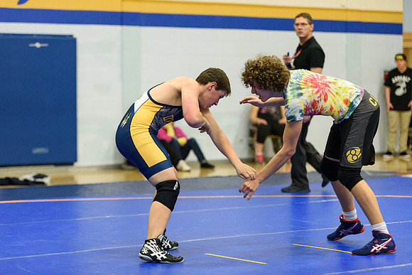 Wrestling DHS 011516-3-2123