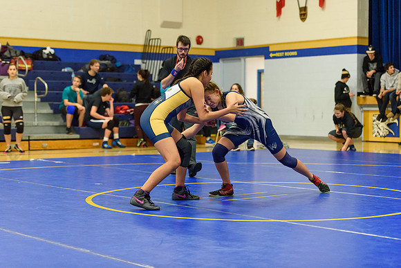 Wrestling DHS 011516-3-2243