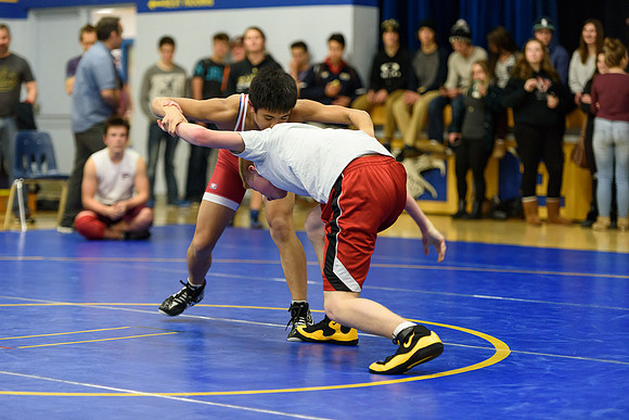 Wrestling DHS 011516-3-2637