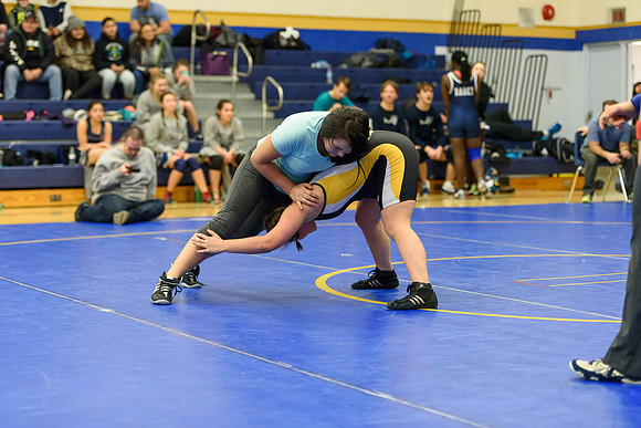 Wrestling DHS 011516-3-2400