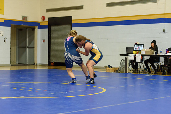 Wrestling DHS 011516-3-5833