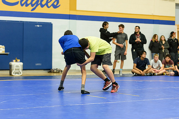 Wrestling DHS 011516-3-4062