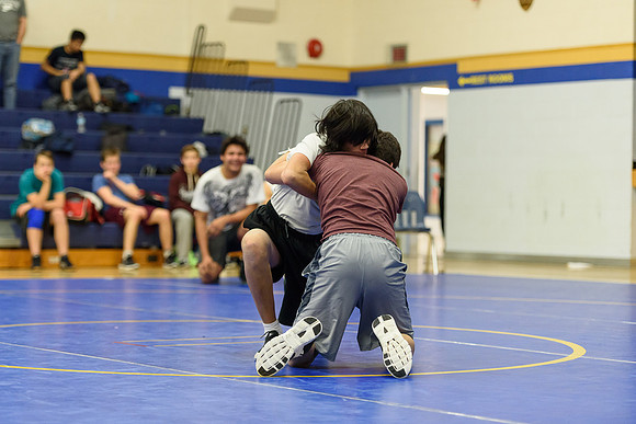 Wrestling DHS 011516-3-3680