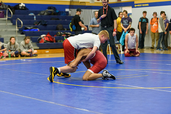 Wrestling DHS 011516-3-2594