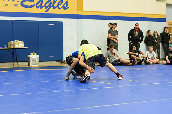 Wrestling DHS 011516-3-4083