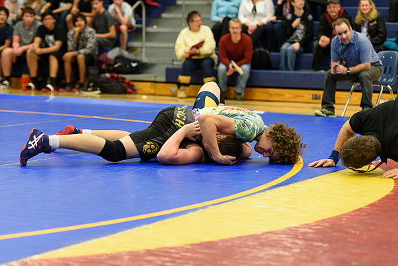 Wrestling DHS 011516-3-2232