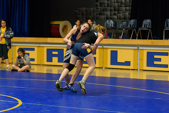 Wrestling DHS 011516-3-4973