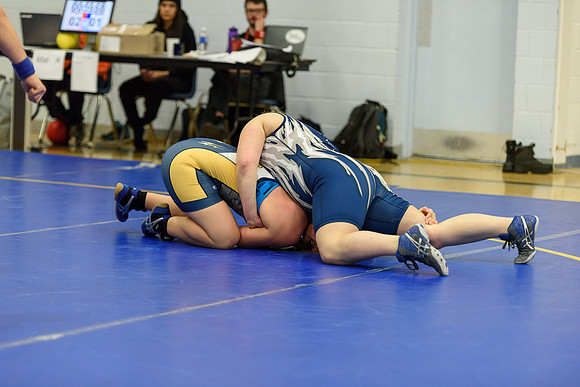 Wrestling DHS 011516-3-5882