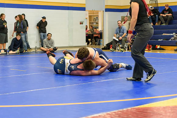 Wrestling DHS 011516-3-3844