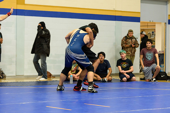 Wrestling DHS 011516-3-4737