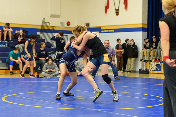 Wrestling DHS 011516-3-4088