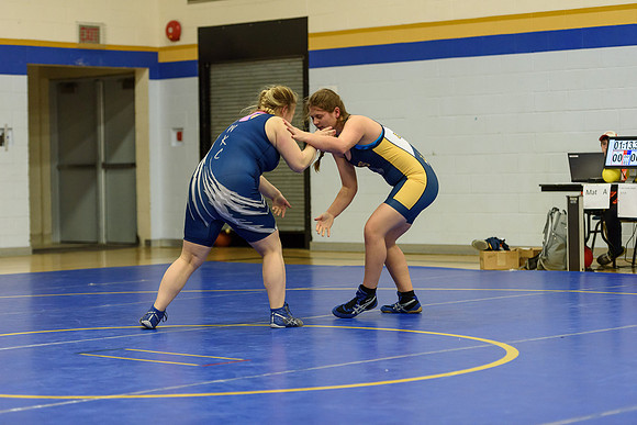Wrestling DHS 011516-3-5794