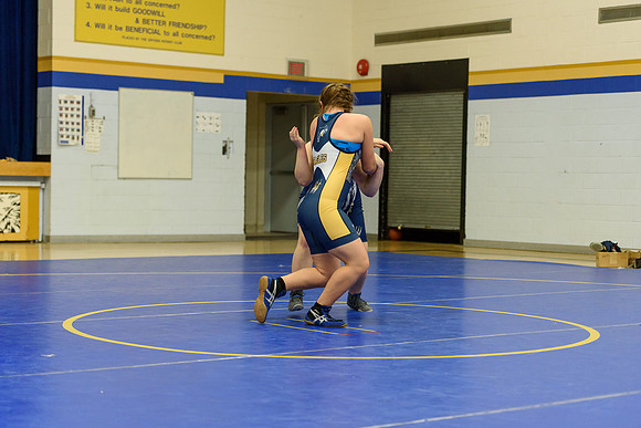 Wrestling DHS 011516-3-5830