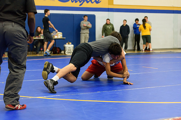 Wrestling DHS 011516-3-2882