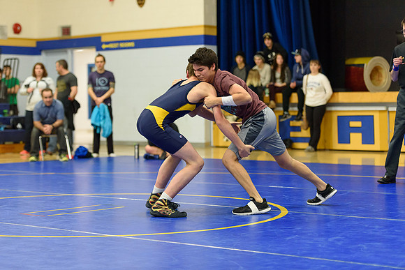 Wrestling DHS 011516-3-2776