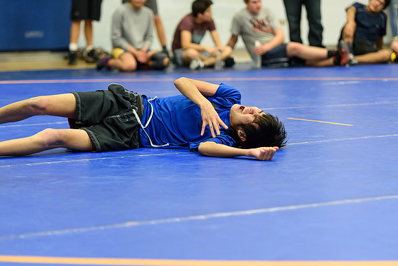 Wrestling DHS 011516-3-4104