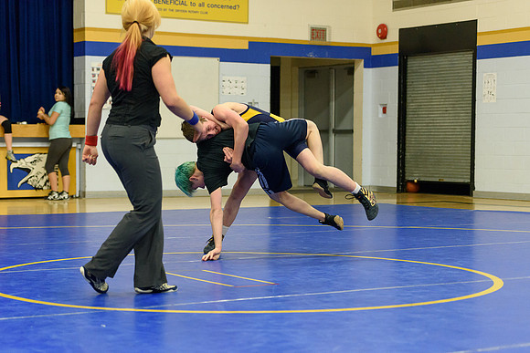 Wrestling DHS 011516-3-5342