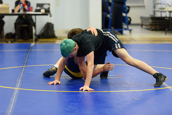 Wrestling DHS 011516-3-5376