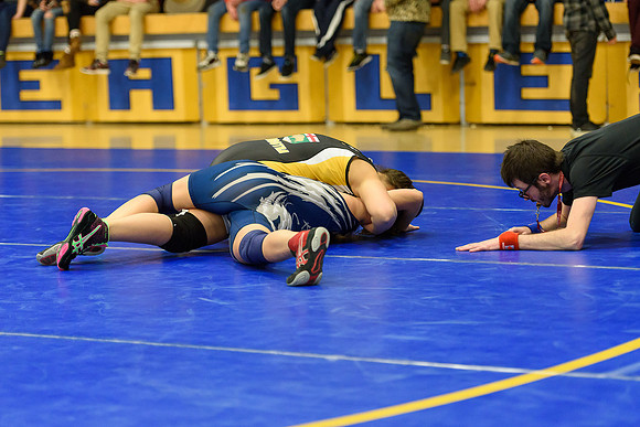 Wrestling DHS 011516-3-3384