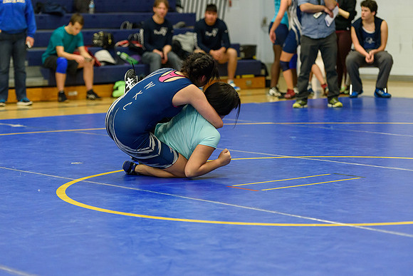 Wrestling DHS 011516-3-4334